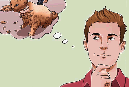 как подстричь кошку